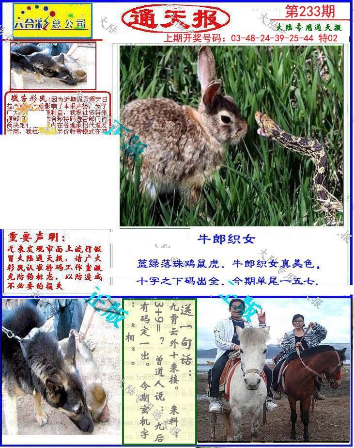 2024233期大陆通天报