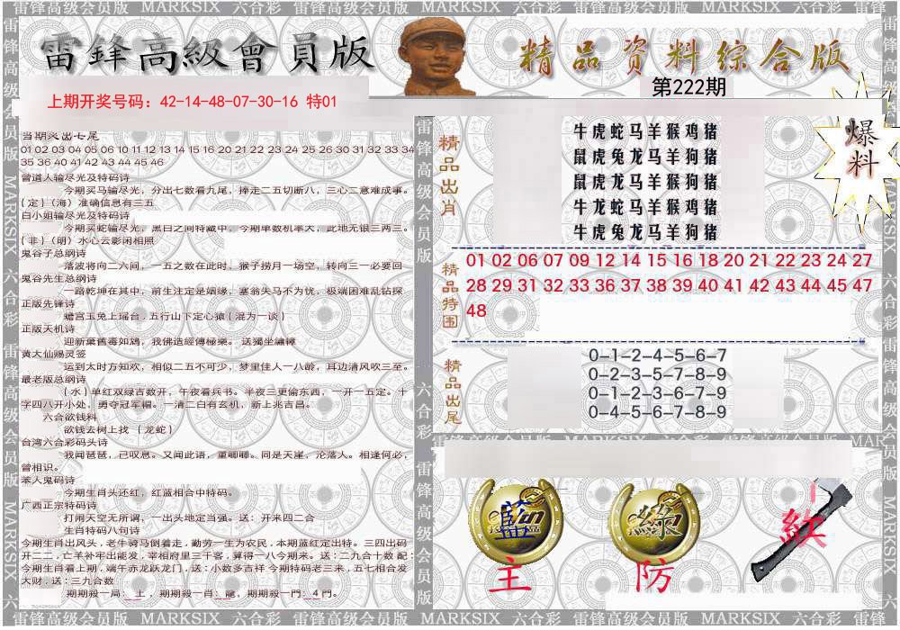 2024222期雷锋资料综合版