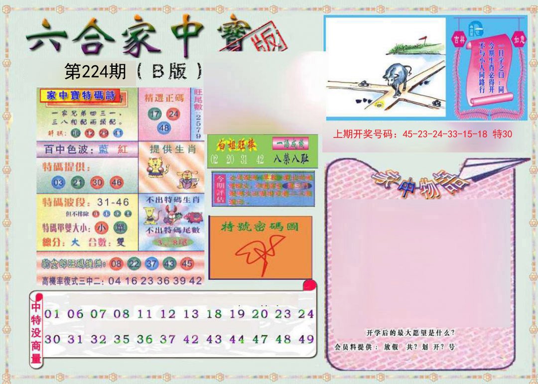 2024224期六合家中宝B