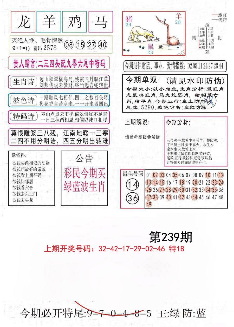 2024239期凤凰闲情A