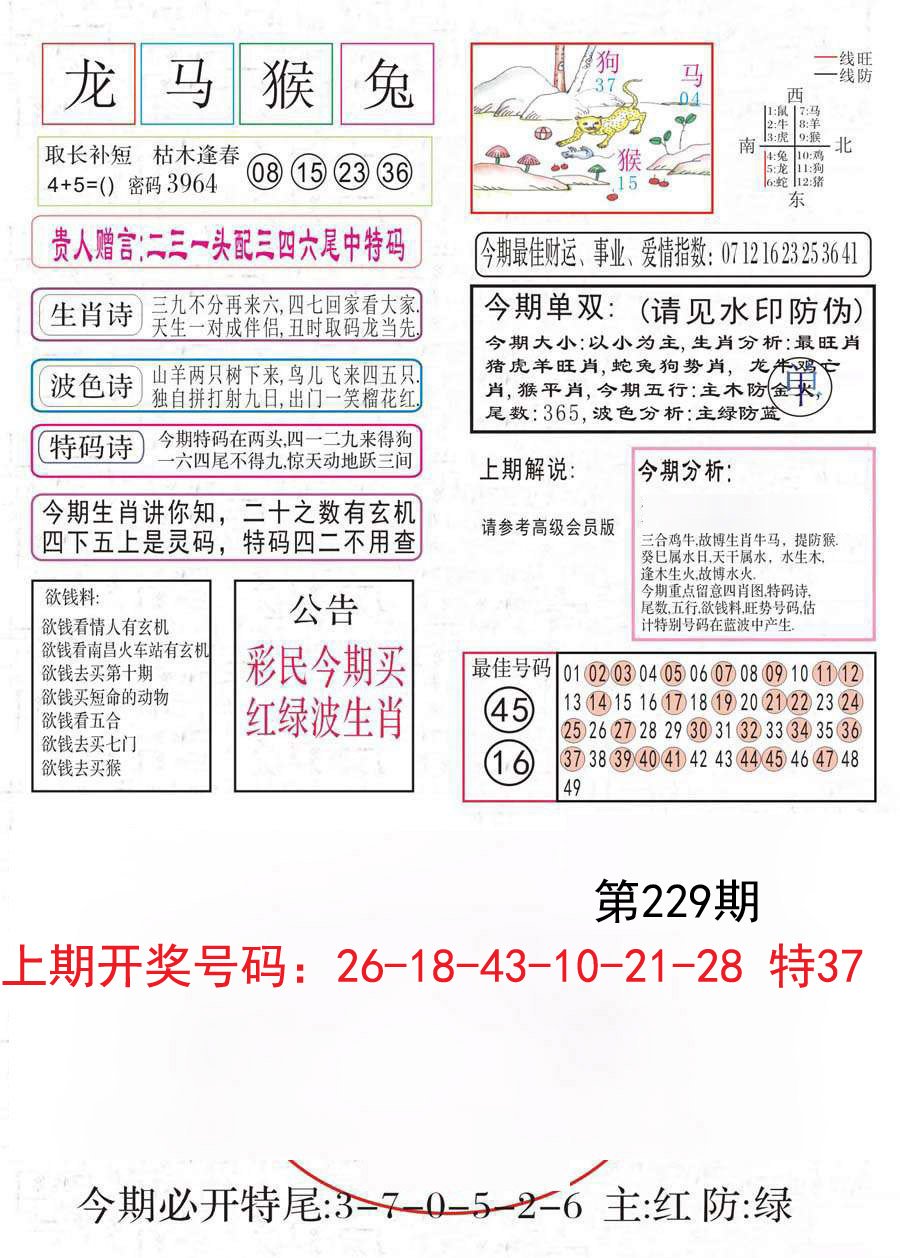 2024229期凤凰闲情A