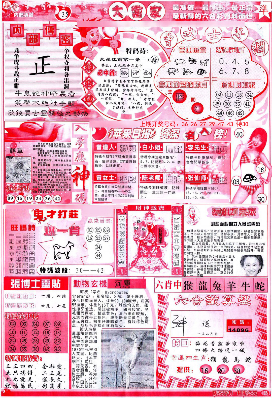 2024243期彩卷后庄B