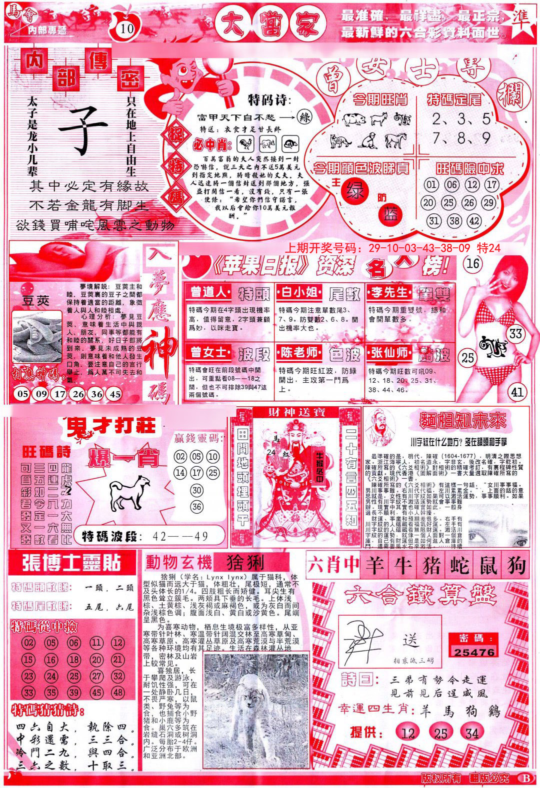 2024241期彩卷后庄B