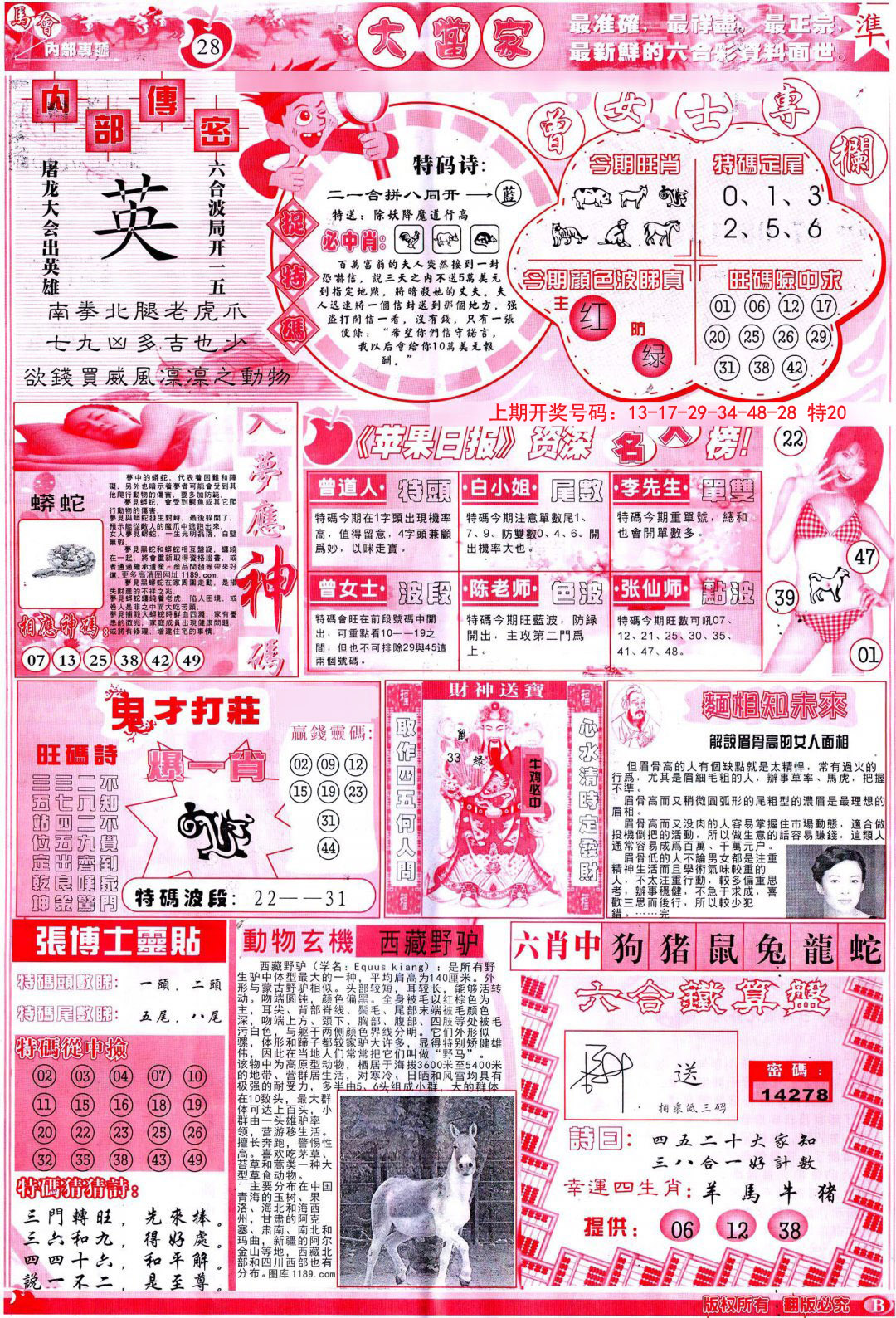 2024228期彩卷后庄B