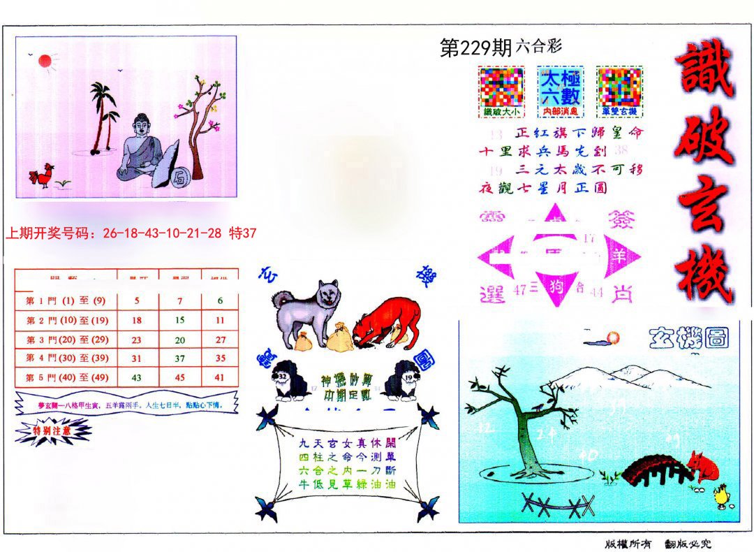 2024229期识破玄机