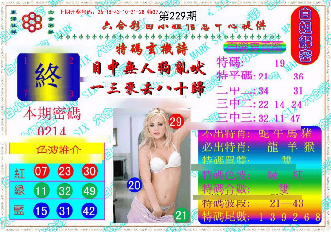 2024229期白姐解密《另版》