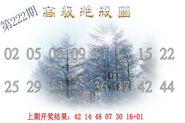 2024222期高级内部绝杀