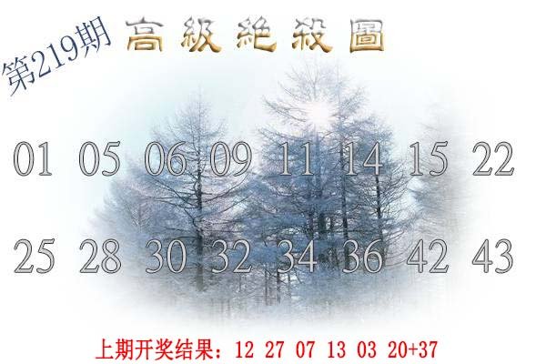 2024219期高级内部绝杀