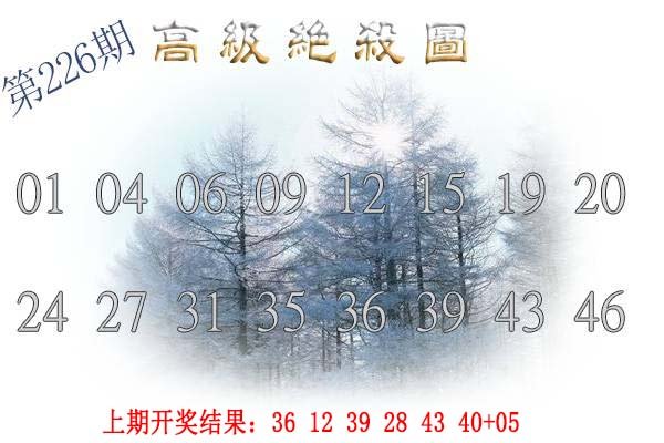 2024226期高级内部绝杀