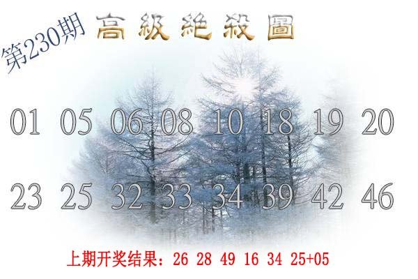 2024230期高级内部绝杀