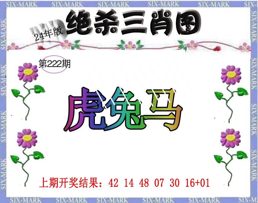 2024222期生财有道杀三肖