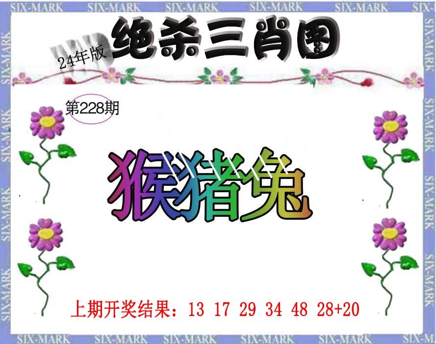 2024228期生财有道杀三肖