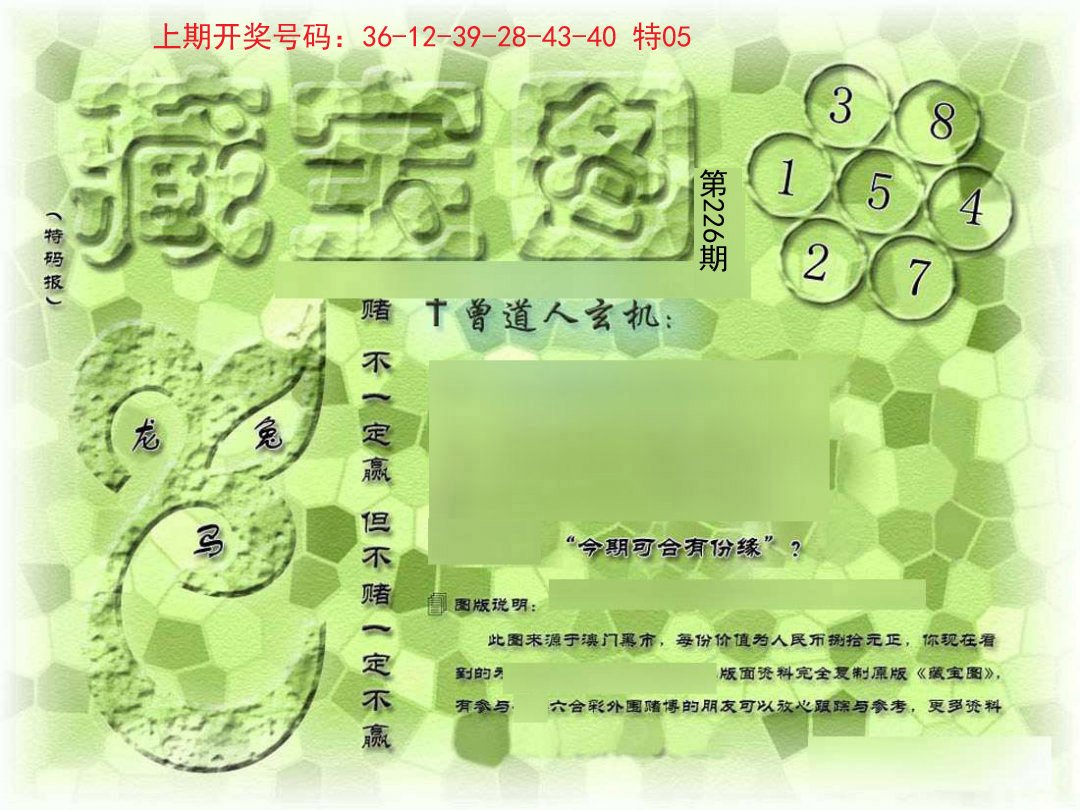2024226期假新藏宝图