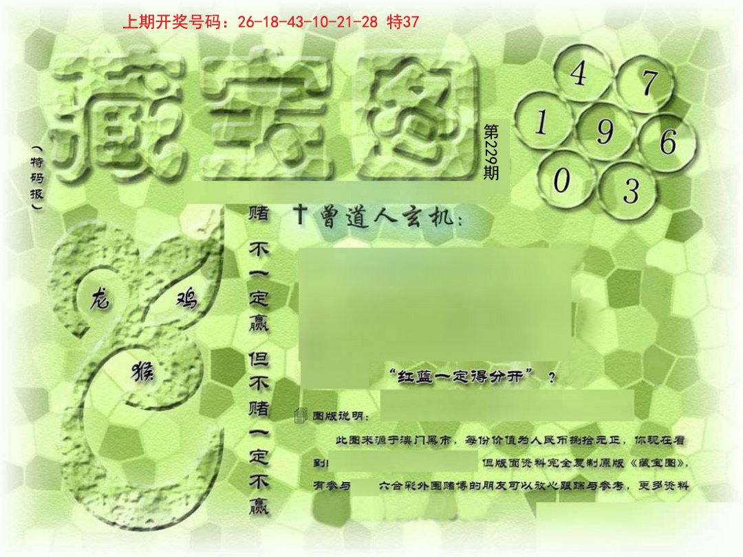 2024229期假新藏宝图