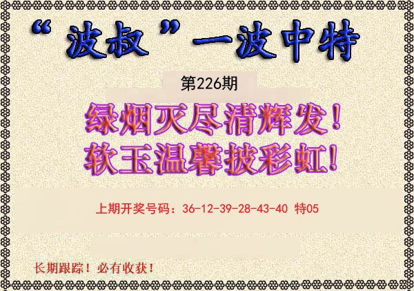 2024226期波叔一波中特
