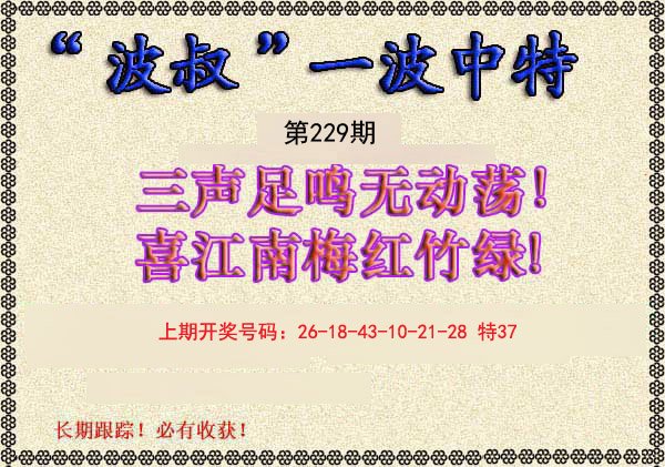 2024229期波叔一波中特