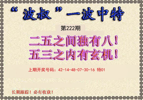 2024222期波叔一波中特
