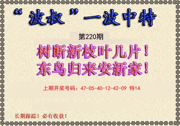 2024220期波叔一波中特