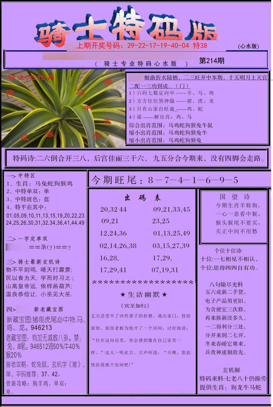 2024214期骑士特码版