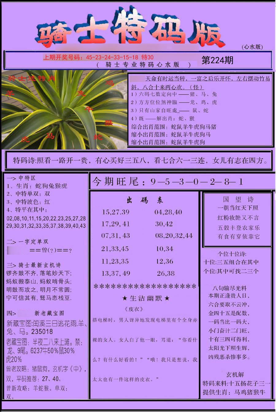 2024224期骑士特码版