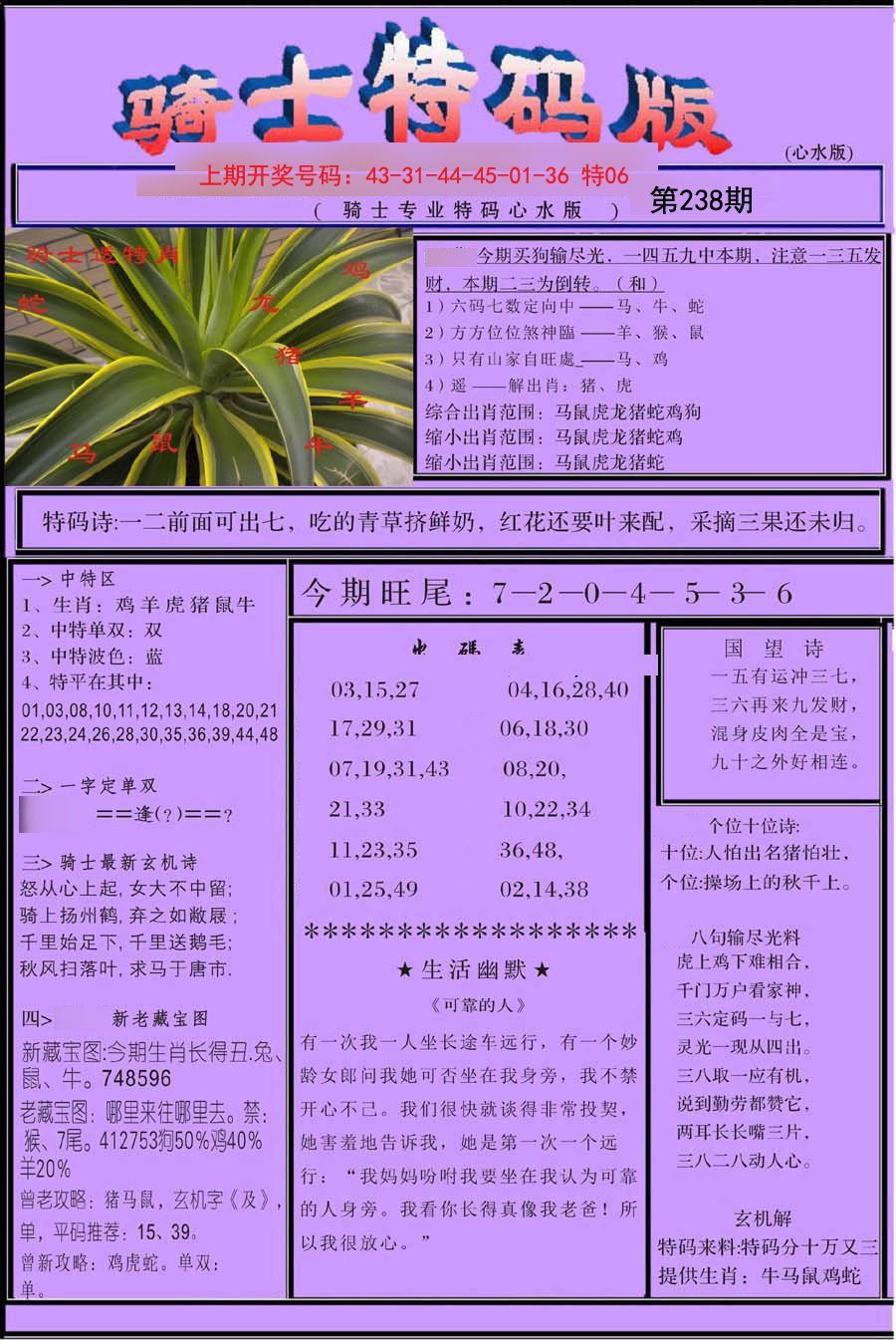 2024238期骑士特码版