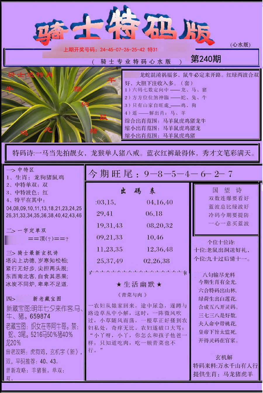 2024240期骑士特码版