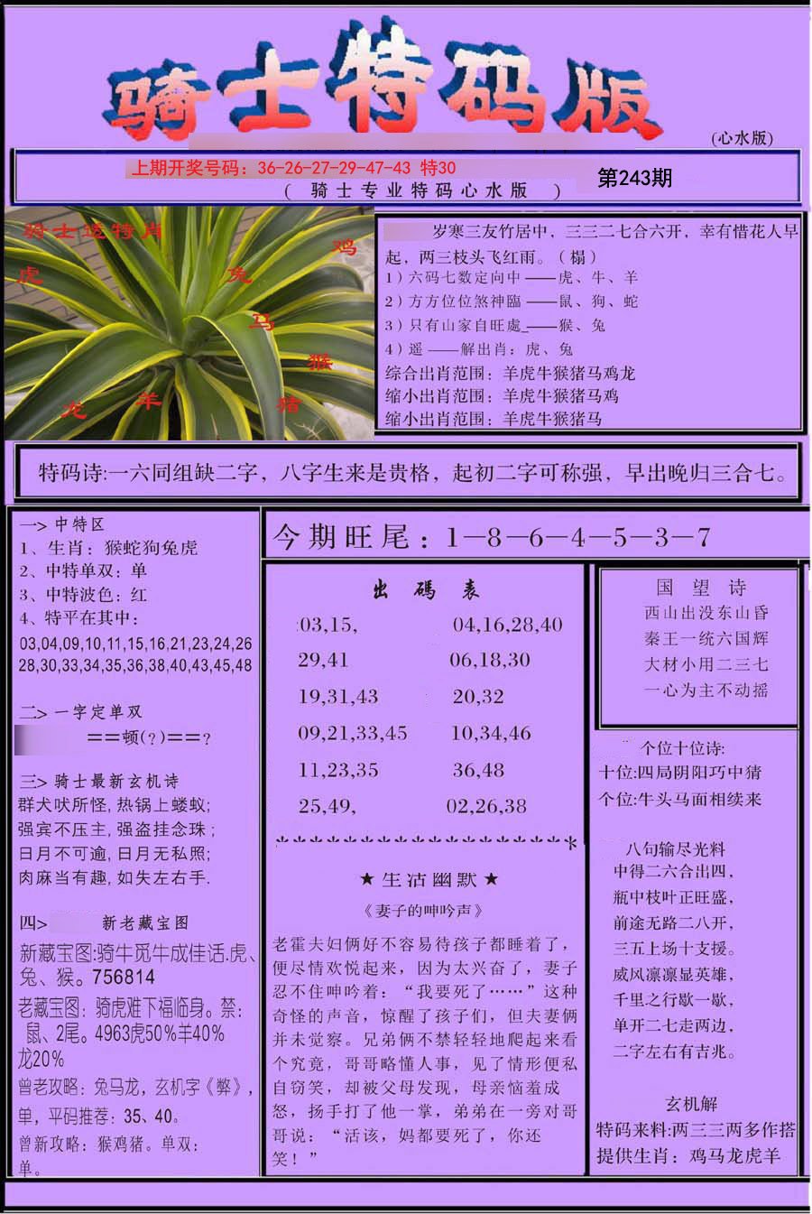 2024243期骑士特码版