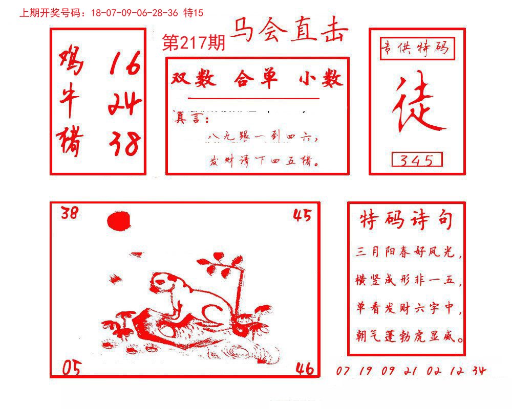 2024217期马会直击