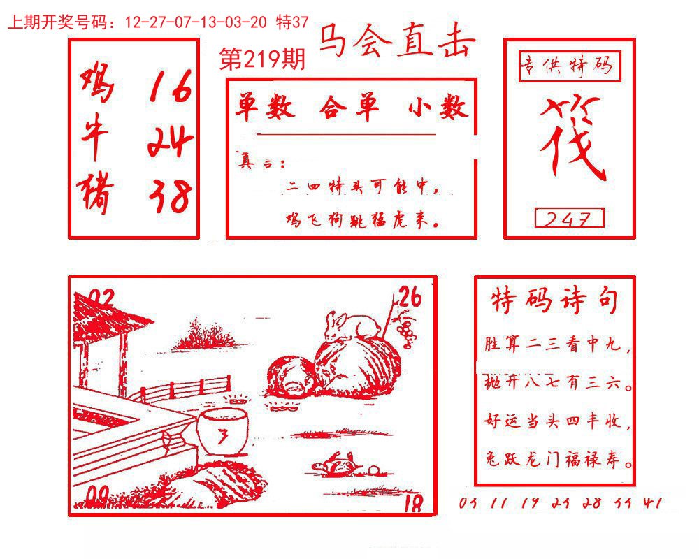 2024219期马会直击
