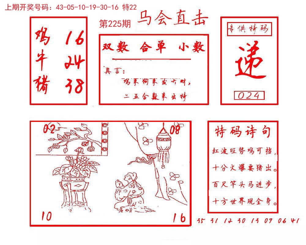 2024225期马会直击