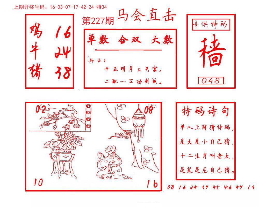 2024227期马会直击