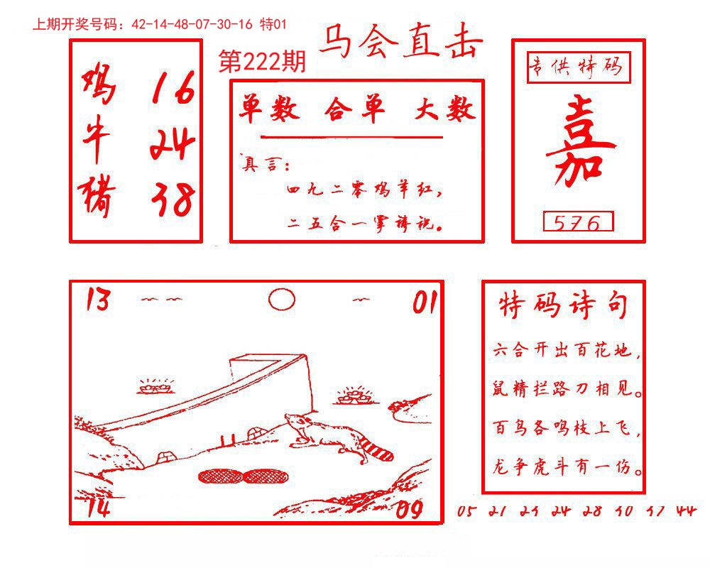 2024222期马会直击