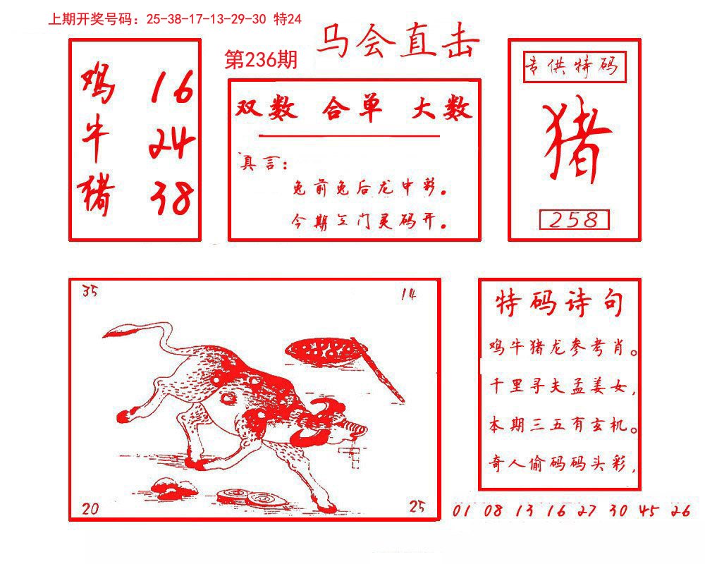 2024236期马会直击