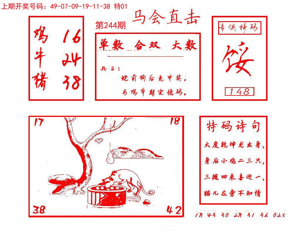 2024244期马会直击