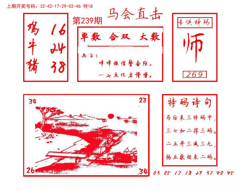 2024239期马会直击