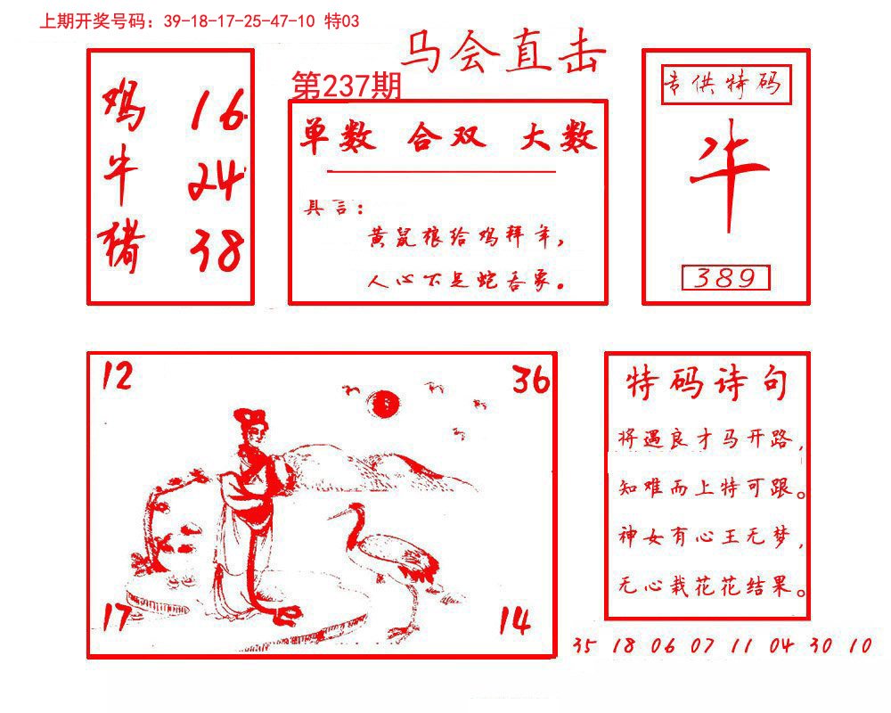 2024237期马会直击