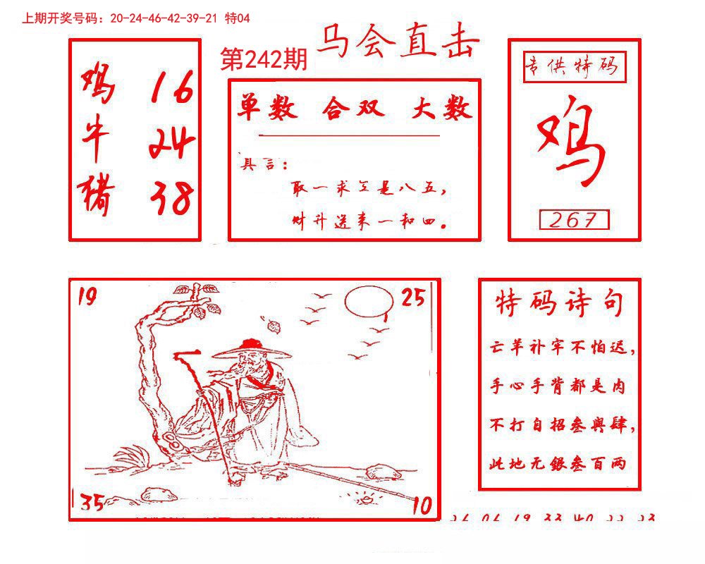 2024242期马会直击