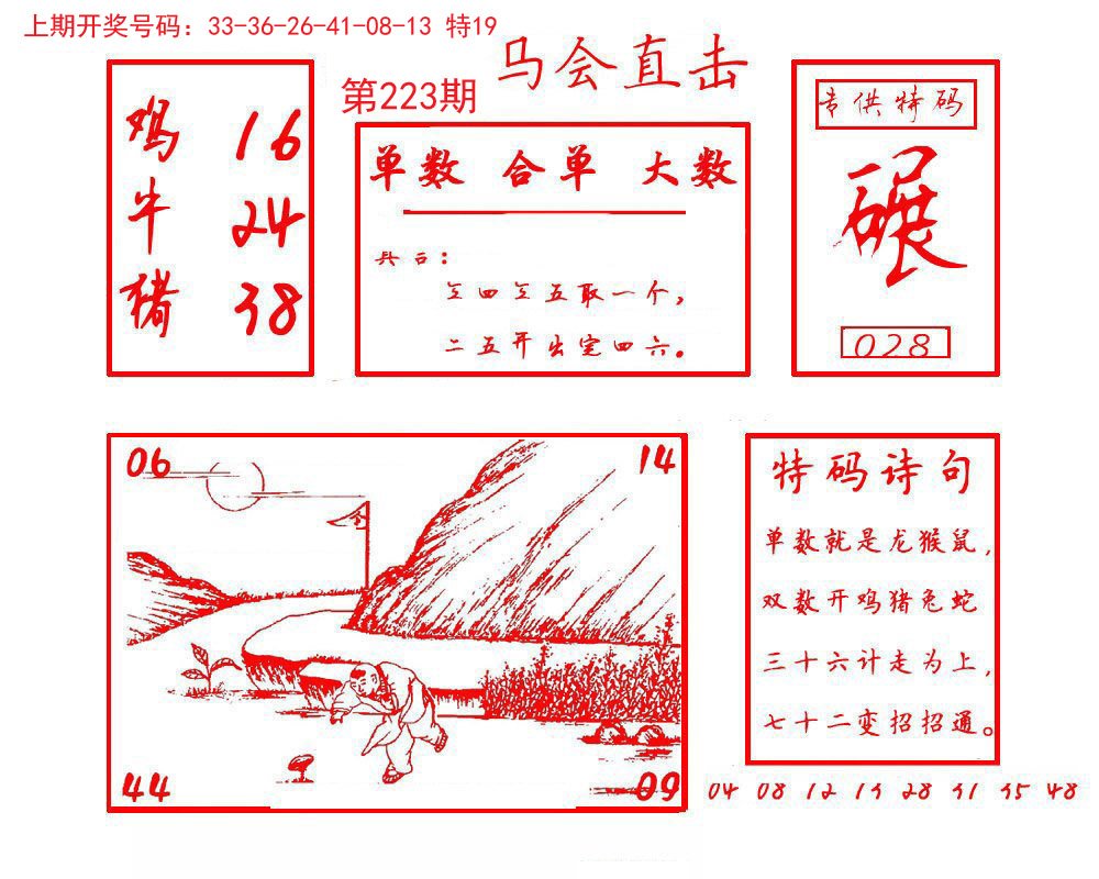 2024223期马会直击
