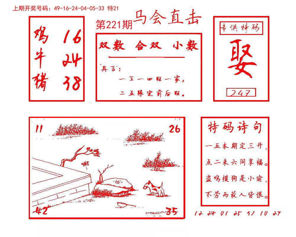 2024221期马会直击