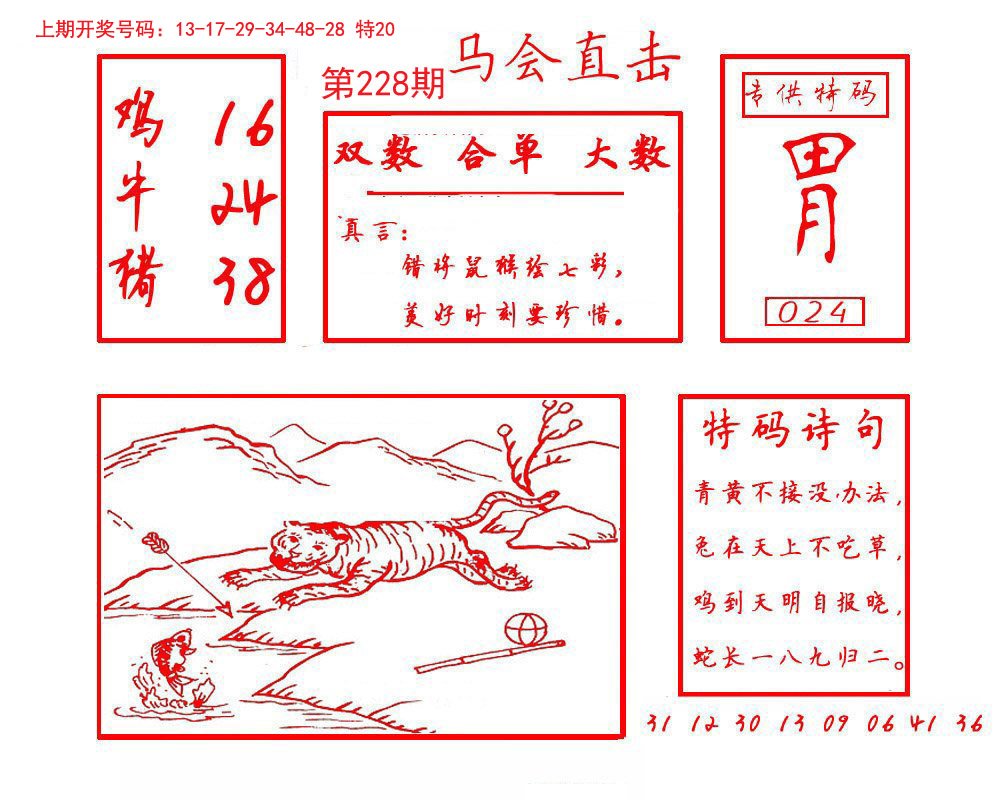 2024228期马会直击