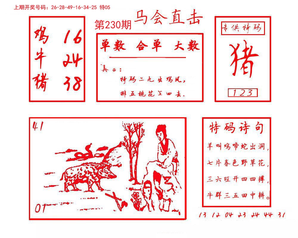 2024230期马会直击