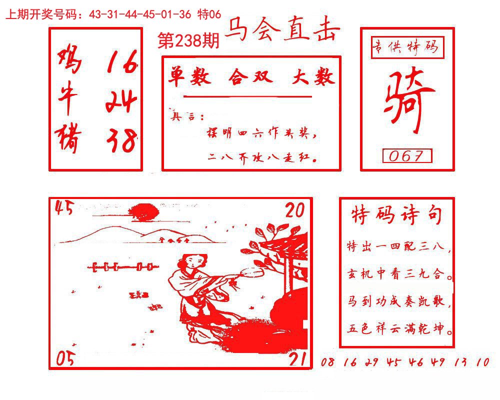 2024238期马会直击