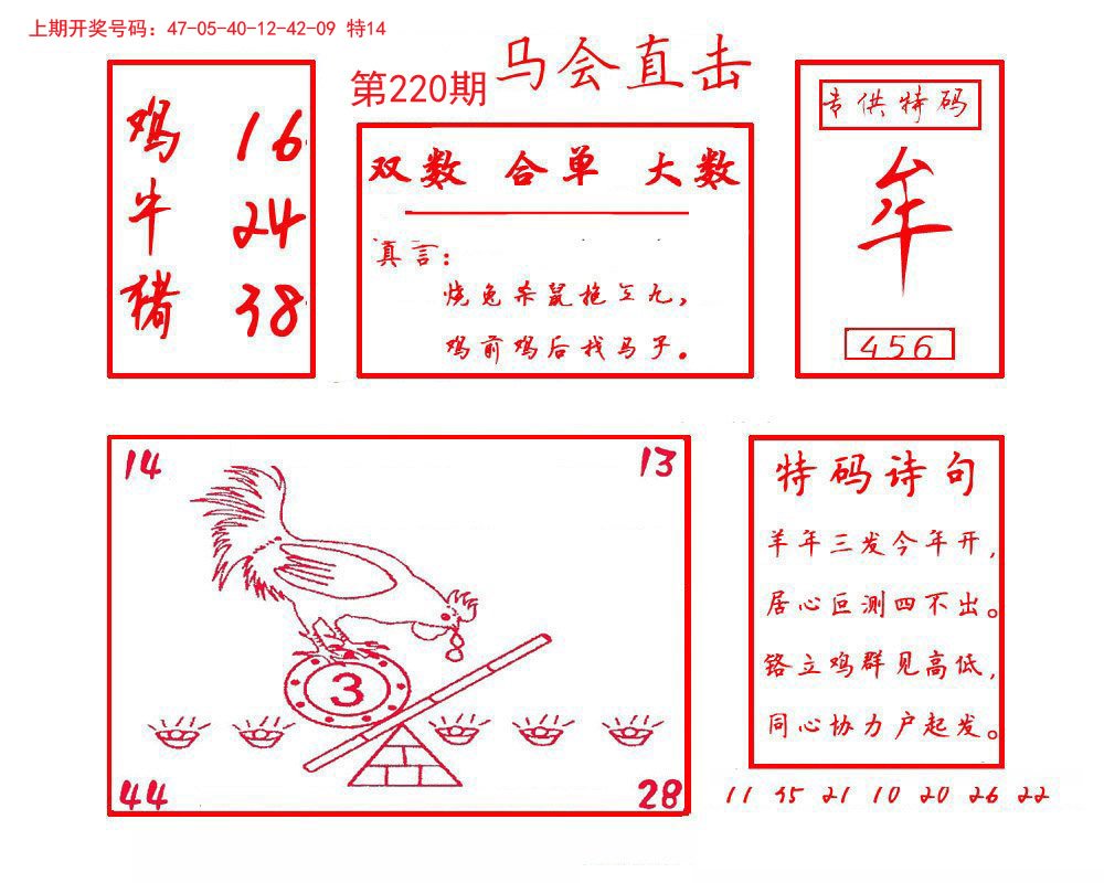 2024220期马会直击