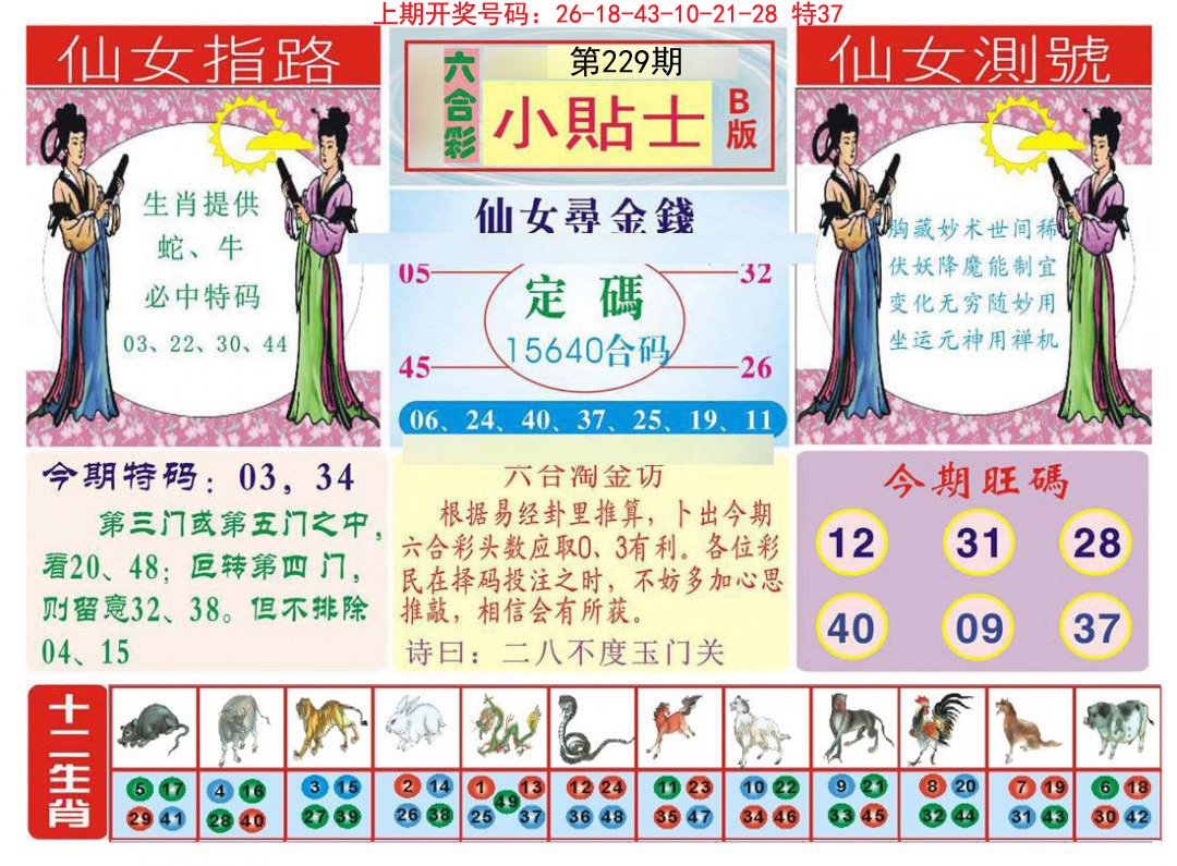 2024229期小贴士B