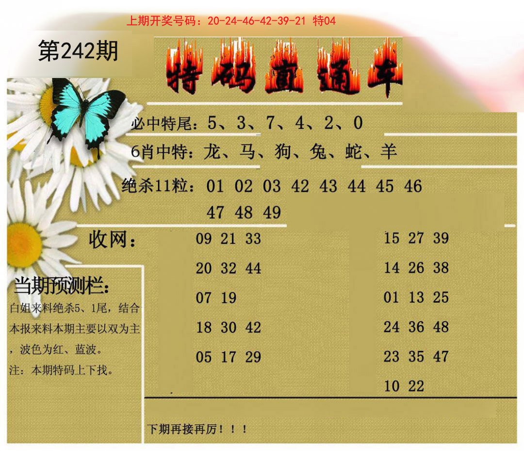 2024242期特码直通车