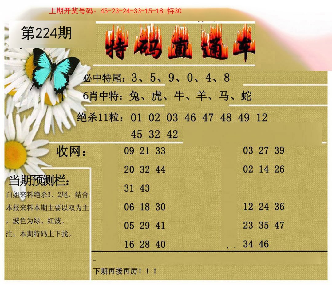 2024224期特码直通车
