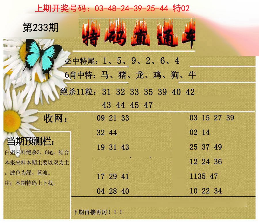 2024233期特码直通车