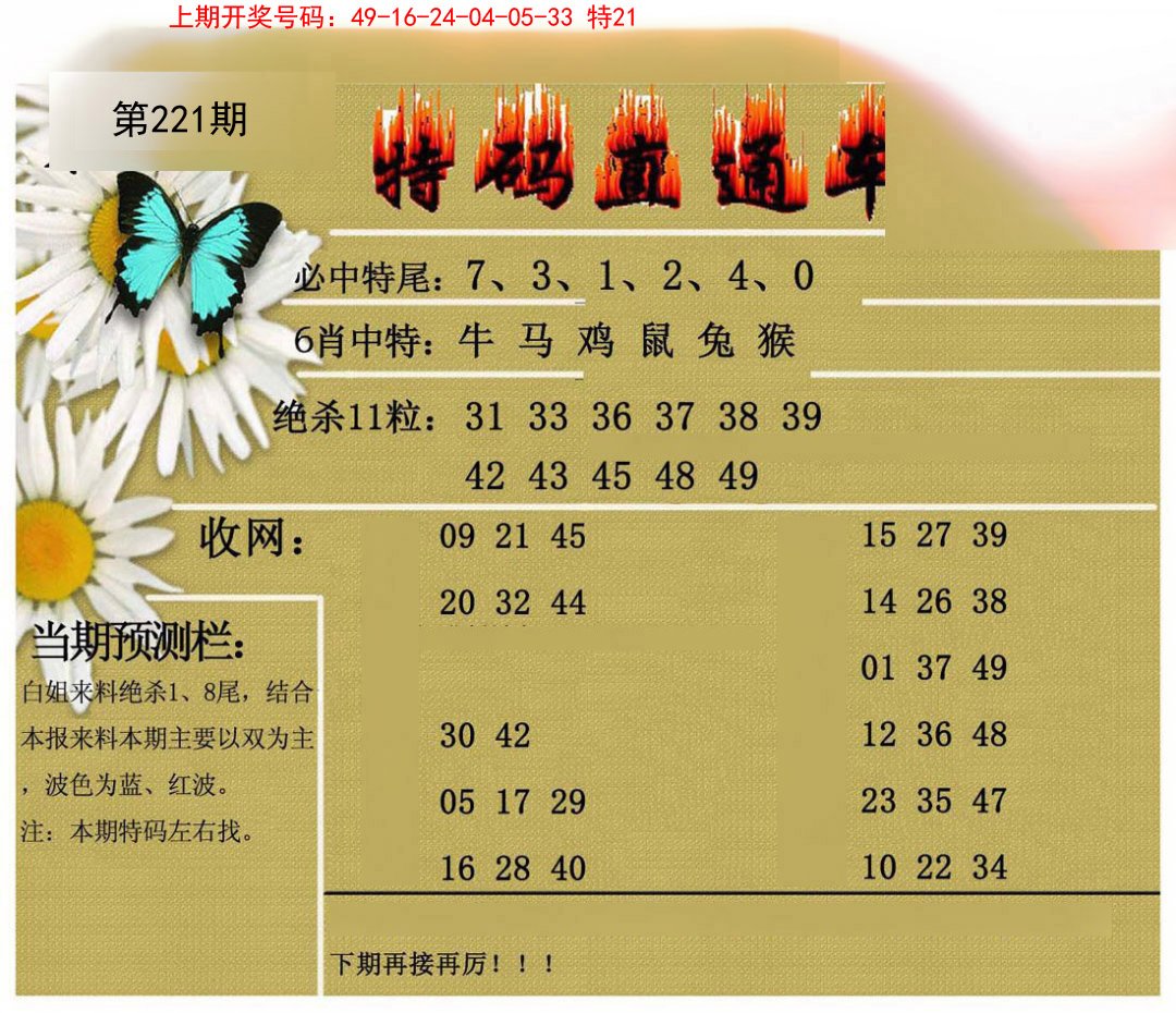 2024221期特码直通车