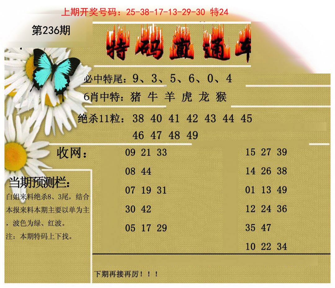 2024236期特码直通车