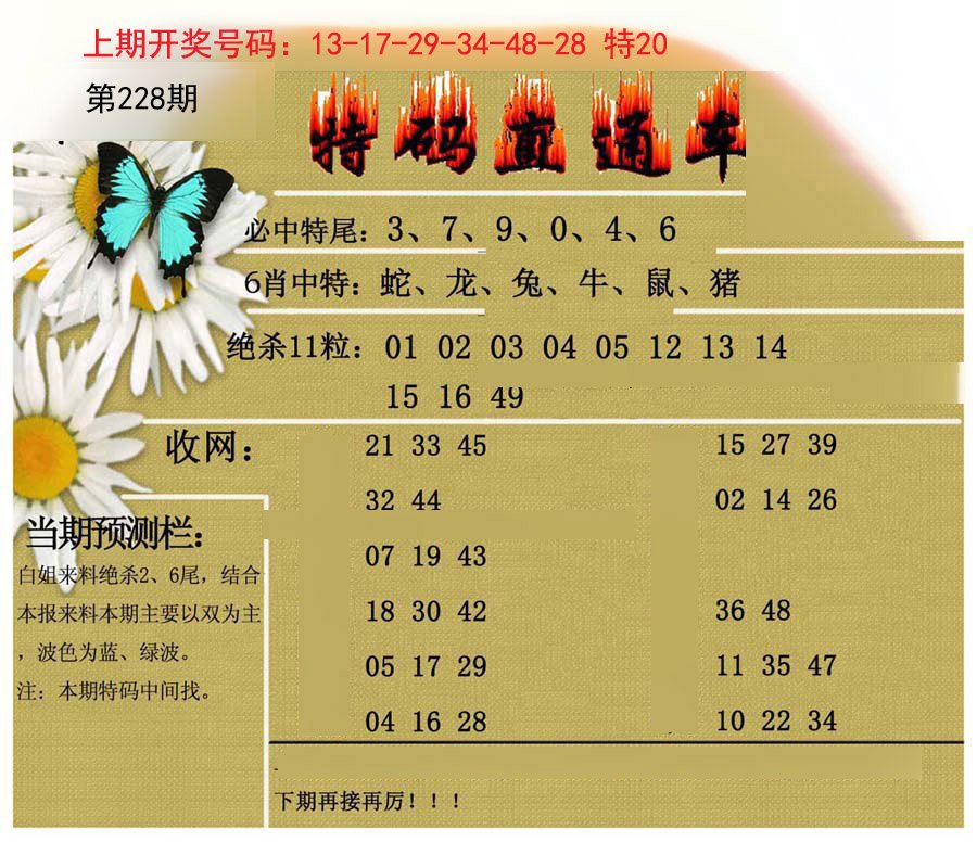 2024228期特码直通车